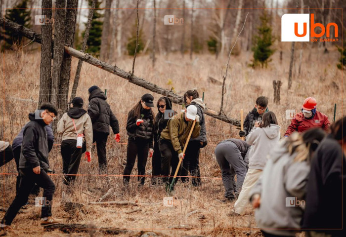 ФОТО: Хушхан брэнд самрын модоо тарьдаг боллоо