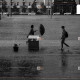 АМРАХ АГШИН: Бороотой өдөр