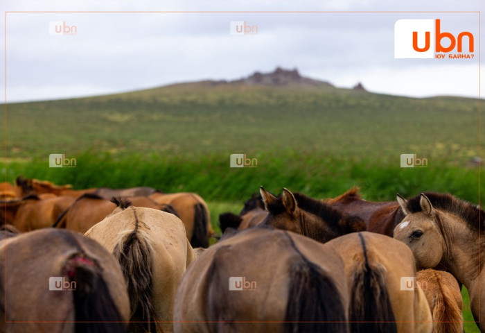 ХХА-н салбар мал зүйч,  агроном зэрэг 18 мэргэжлийн дутагдалд оржээ
