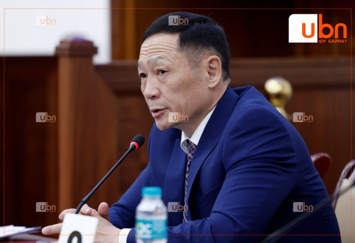 Монгол Улсын Ерөнхий аудитороор томилогдсон С.Магнайсүрэн гэж хэн бэ ?