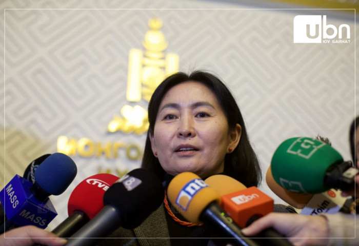 З.Нарантуяа: Төр ТУЗ-өөр дамжуулж шийдвэр гаргаж ирсэн нь Хөгжлийн банкийг дампууралд хөтөлсөн