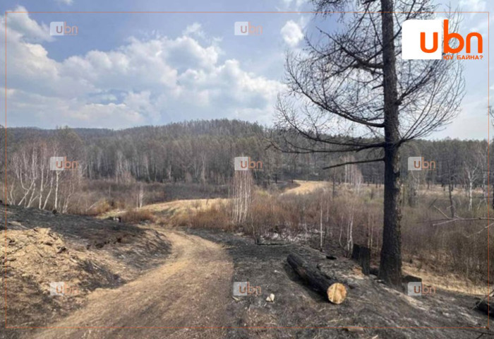 Түшиг суманд гарсан түймрийг бүрэн унтрааж, орон нутагт хүлээлгэн өглөө