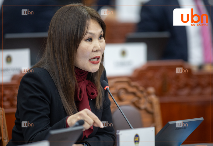 Б.Мөнхсоёл: Төсвийн орлогын гол хэсэг нүүрсний үнэ уначхаад байхад алтаар нөхнө гэдэг харьцангуй бодлого ЗГ гаргаж болохгүй