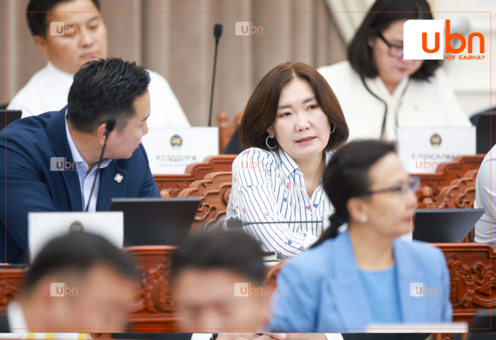 Л.Мөнхбаясгалан: Чухал хууль хэлэлцэж байхад 19-хөн гишүүн чуулганд сууж байна