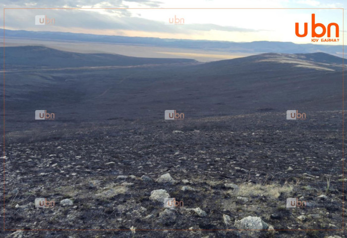 Хэнтий аймгийн Дадал сумын нутагт гарсан хээрийн түймэрт 500 га талбай өртжээ