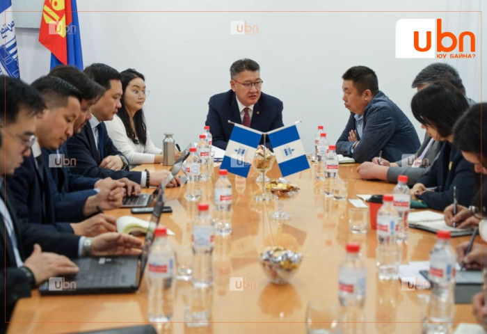 Нүүрсний үнийн уналт, тодорхойгүй байдлын улмаас худалдан авагчдад үүссэн хүндрэл үүсэж байна гэв