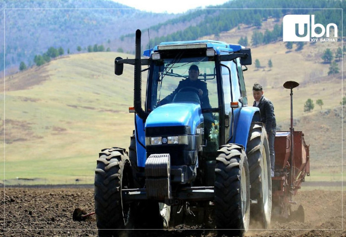 Хаврын тариалалт 40.8 хувиар буурчээ