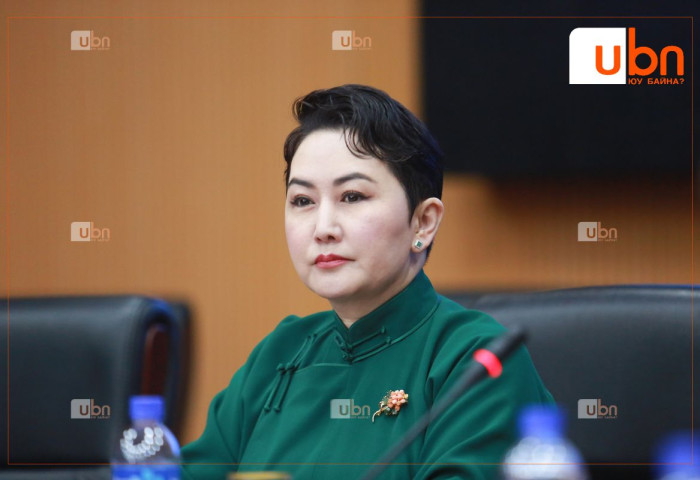 “Надад намуудаас 20,30-аараа нэрс ирсэн. Үүнд намын дарга нарыг нь буруутгах аргагүй“