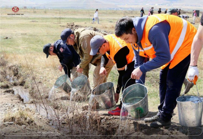 “Монголын төмөр зам“ ТӨХК-ийн хамт олон мод тарилаа