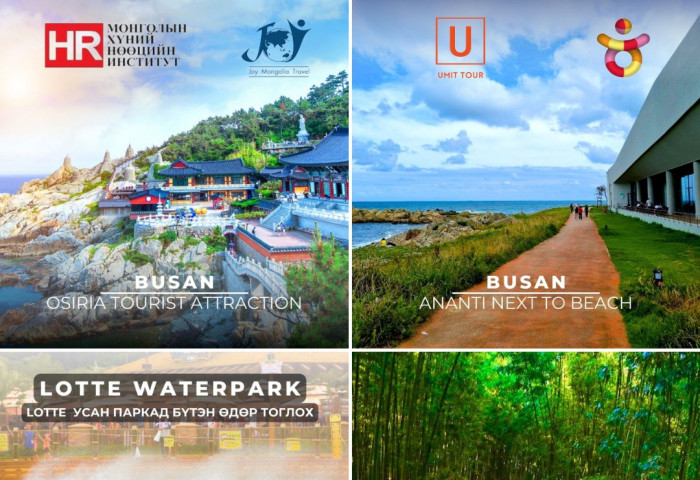 Солонгосын үзэсгэлэнт 6 хотыг маш хямдаар үзэх БОЛОМЖ