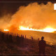 ОБЕГ: Хөвсгөл, Сэлэнгэ, Булган аймгийн 5 суманд гарсан түймрийн улмаас 631,337 га шатаж 5 тэрбумын хохирол учирчээ