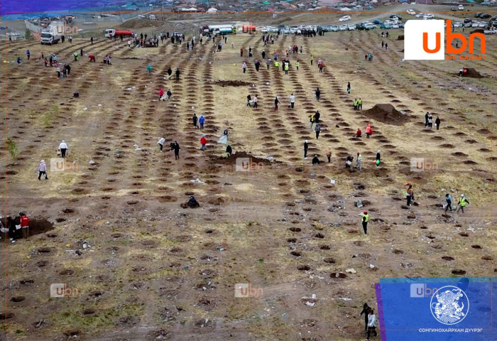 Сонгинохайрхан дүүрэг 10 мянган мод тарилаа