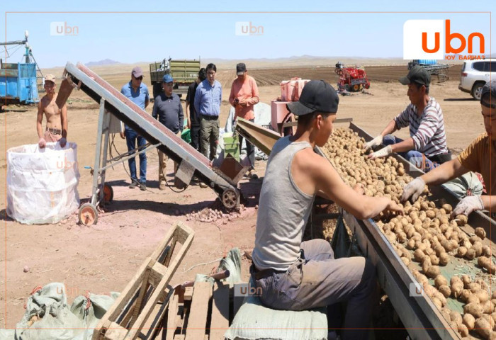 Ногоочид хүний нөөцийн дутагдлаа технологийн дэвшлээр нөхөж байна