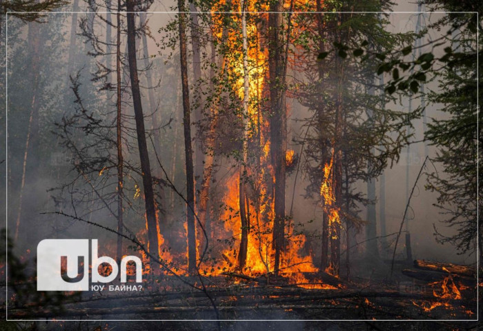 Ой, хээрийн гал түймэрт 5 байшин, 49 гэр, 5 автомашин өртөж, 5 тэрбум төгрөгийн хохирол учирчээ