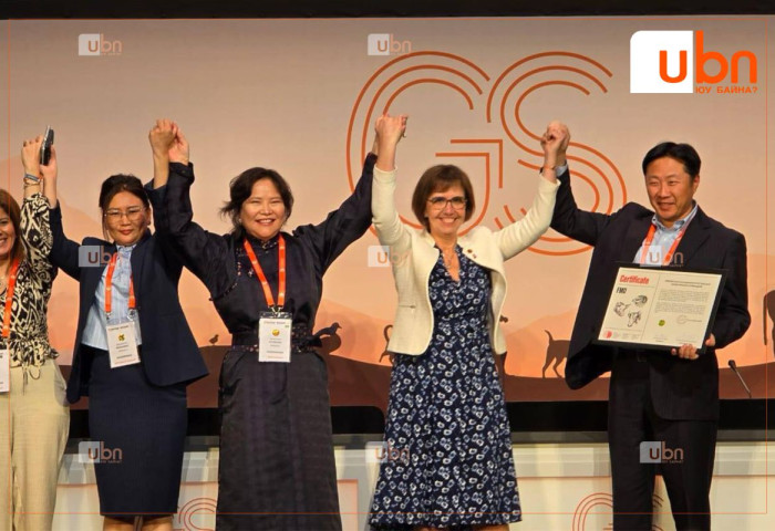 Монгол Улс шүлхий өвчнийг хянах хөтөлбөрөө олон улсад баталгаажууллаа