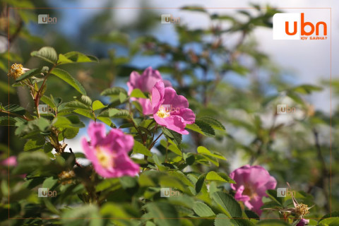 МАРГААШ: Улаанбаатарт 22  хэм дулаан байна