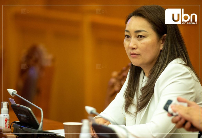 Х.БУЛГАНТУЯА: Ц.Оджаргал Ерөнхий сайдын Эдийн засгийн зөвлөлд байдаг. Ухаахудагийн асуудлаа зөвлөл дээрээ ярьж ойлголцож болдоггүй юм уу