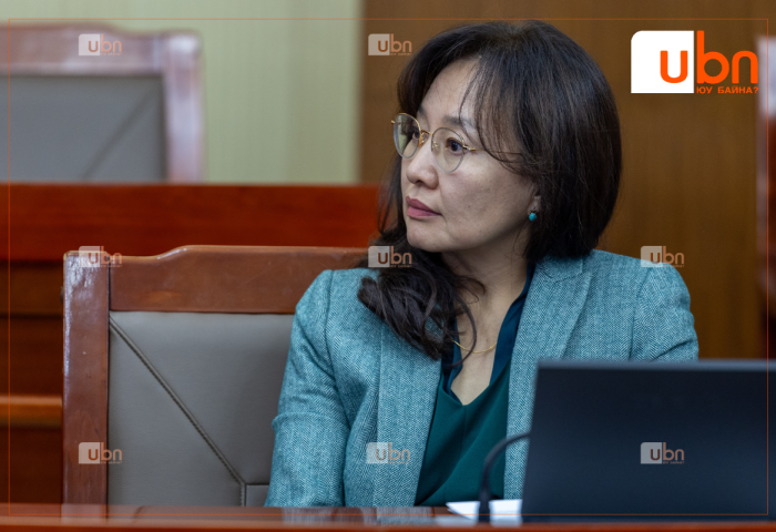 Д.ГАНМАА: Сүүлийн 30 жил төрийн өндөр дээд алба хашсан хүмүүс бүгд ОРЛОГОО НОТЛОХ ХЭРЭГТЭЙ