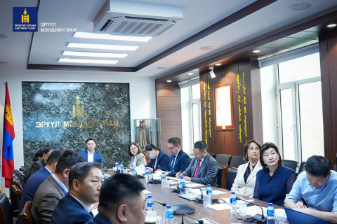 Монгол Улсад эмчлэгдэх боломжгүй өвчлөлийг бууруулахад чиглэсэн төслийг шалгаруулна