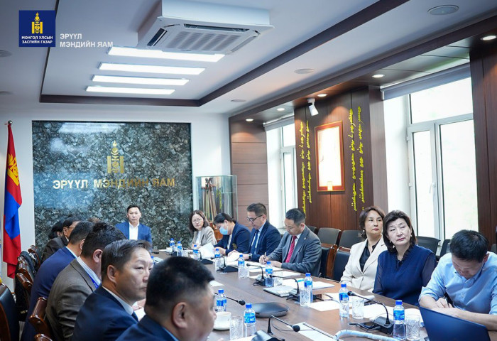 Монгол Улсад эмчлэгдэх боломжгүй өвчлөлийг бууруулахад чиглэсэн төслийг шалгаруулна