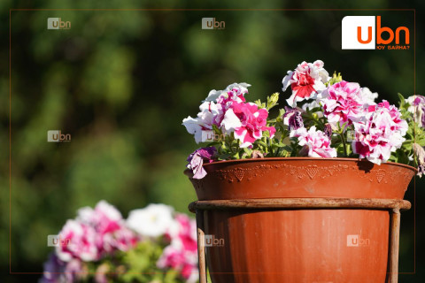 МАРГААШ: Улаанбаатарт 20 хэм дулаан, багавтар үүлтэй