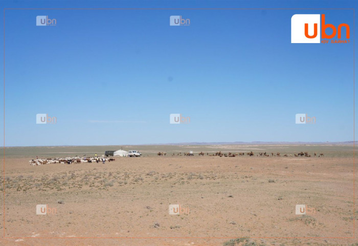 СЭРЭМЖЛҮҮЛЭГ: Өмнөговь, Дорноговийн нутгаар 36 хэм хүртэл хална