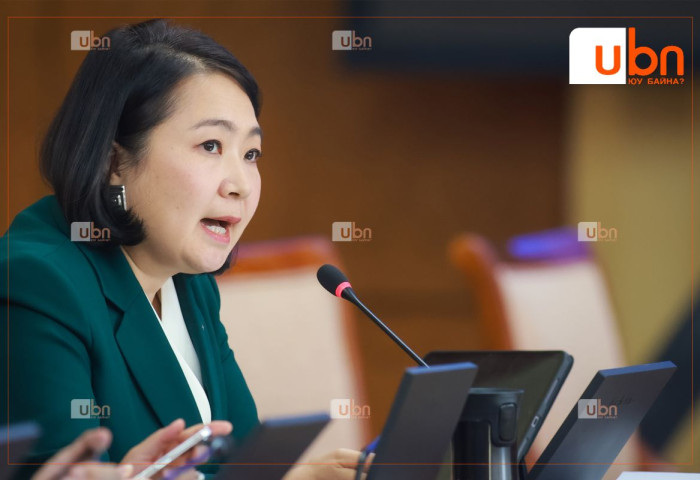 ​​​​​​​О.Номинчимэг: Шинээр бүрдэх Засгийн газар төслүүдээ эрэмбэлж, заримыг нь хойшлуулах хэрэгтэй