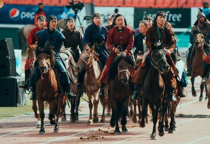 “Морьт харвааны 18 морийг минь алаад махалжээ“