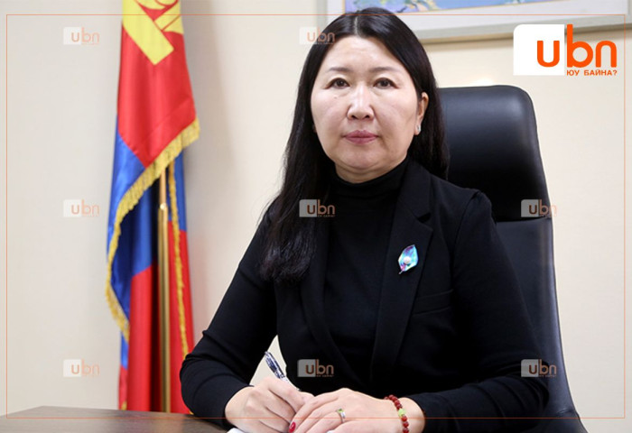 П.Эрдэнэтуяа:“Алт-III” хөтөлбөрийг төр бодлогоороо хэрэгжүүлнэ гэж зарлаж байгаа нь эерэг нөлөөтэй ч урт хугацаанд тогтвортой байх ёстой