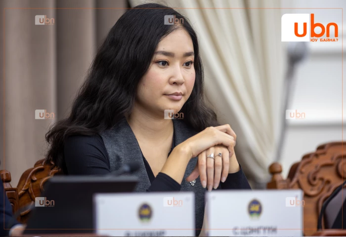 С.Цэнгүүн: Улс төрийн золиос гаргаад эрчим хүчний салбарыг задлах хүн сайд болох ёстой