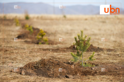 Мод тарьсан иргэнийг датагаар урамшуулна