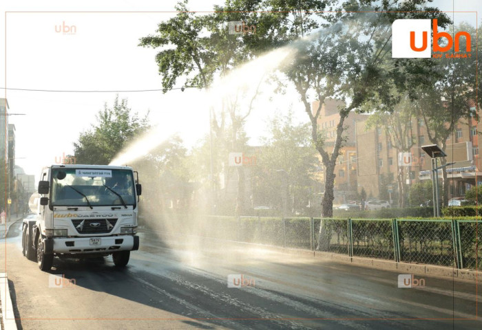 Улиас модыг хэлбэржүүлэх, молцог түүх, унгарилыг шүршиж угаах ажлыг тогтмол хийж байна