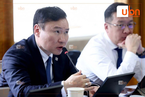 ХЭДХ: Гадаад улсад зорчиж буй болон ажиллаж, амьдарч байгаа иргэдийн эрхийг хамгаалах чиглэлээр шийдвэр гаргав