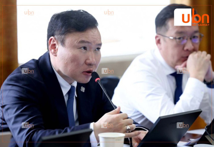 ХЭДХ: Гадаад улсад зорчиж буй болон ажиллаж, амьдарч байгаа иргэдийн эрхийг хамгаалах чиглэлээр шийдвэр гаргав