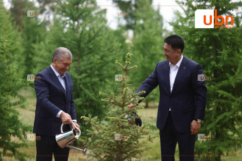 Ерөнхийлөгч У.Хүрэлсүх, Ш.Мирзиёев нар дурсгалын мод тарилаа