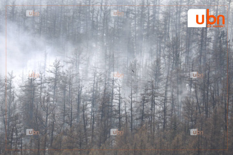 Түймрийн голомтод бороо оруулахаар ажиллаж байна