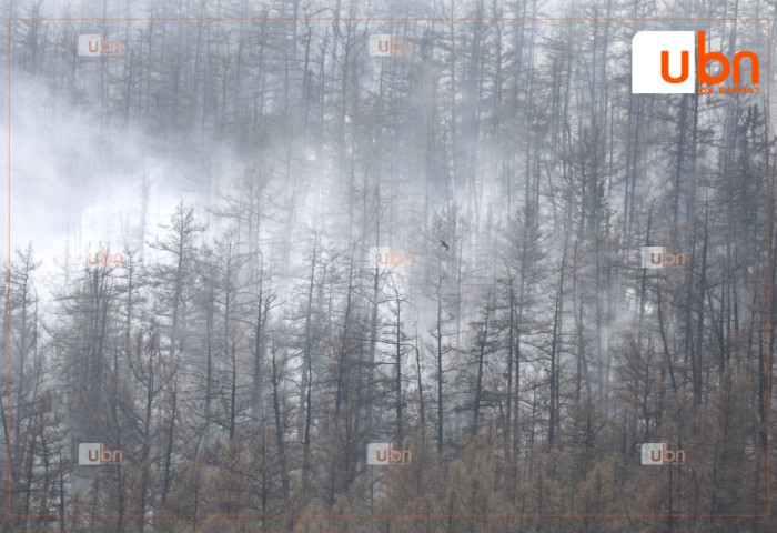 Түймрийн голомтод бороо оруулахаар ажиллаж байна