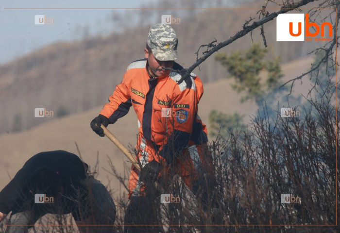 Хөвсгөл, Сэлэнгэ, Булганд гарсан 7 түймрийг цурманд оруулжээ