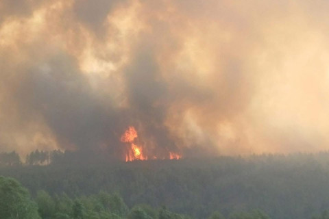 Сэлэнгэ аймгийн Алтанбулаг суманд гарсан ойн түймрийг унтраах ажил зургаа дахь өдрөө үргэлжилж байна