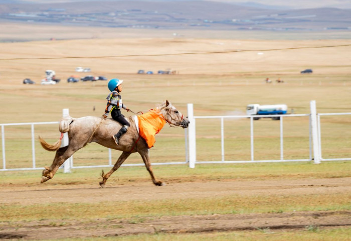 Нийслэлийн өдөр, даншиг наадмын хурдан морины уралдаанд Д.Саграадоржийн буурал, бунд зүсмийн азарга түрүүллээ