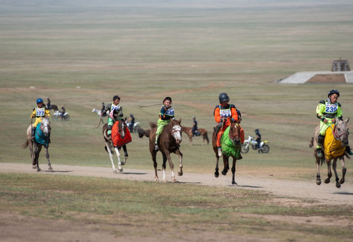 ДАНШИГ НААДАМ: Их насны морьдын уралдаанаар хоёр дахь өдрөө үргэлжилж байна