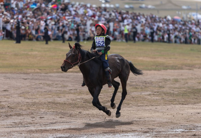 ДАНШИГ НААДАМ: Соёолон морины уралдаанд Төв аймгийн Цээл сумын Х.Ууганбаярын хээр морь түрүүллээ