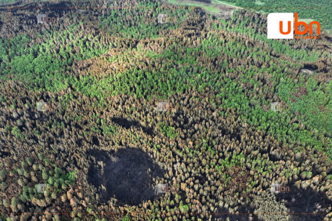 Сэлэнгэ аймагт гарсан 3 түймрийг цурамд оруулж, 1 түймрийг унтраахаар ажиллаж байна