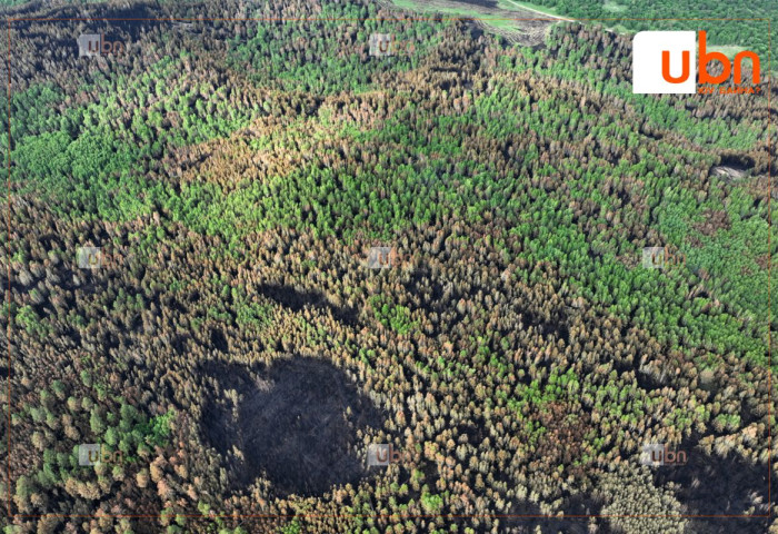 Сэлэнгэ аймагт гарсан 3 түймрийг цурамд оруулж, 1 түймрийг унтраахаар ажиллаж байна