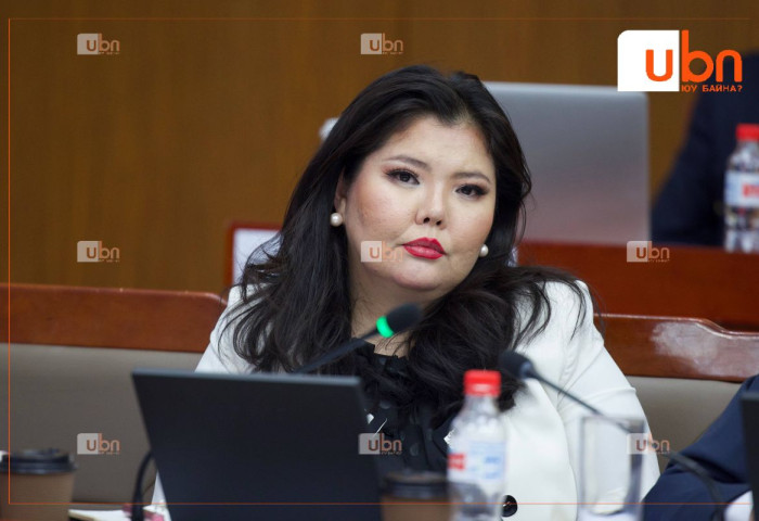 ХОМ: М.Нарантуяа-Нара 1 тэрбум 724 сая төгрөгөөр үнэлэгдэх үл хөдлөх, 1 тэрбум 500 сая төгрөгөөр үнэлэгдэх ҮНЭТ ЭДЛЭЛТЭЙ