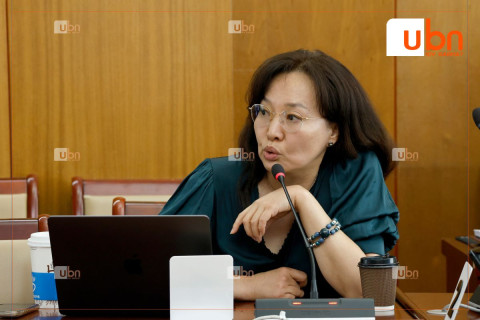 Эмнэлгийн тусламж, үйлчилгээний тухай хуулийг шинэчлэн найруулж, холбогдох хууль тогтоомжид өөрчлөлт оруулах нь зүйтэй гэж үзжээ