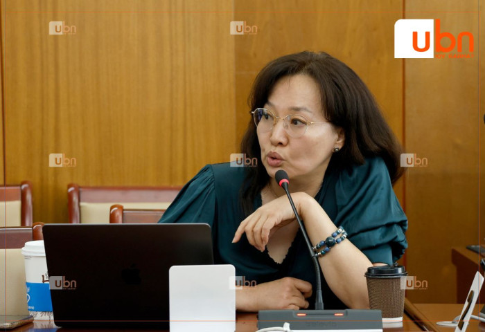 Эмнэлгийн тусламж, үйлчилгээний тухай хуулийг шинэчлэн найруулж, холбогдох хууль тогтоомжид өөрчлөлт оруулах нь зүйтэй гэж үзжээ