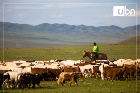 “Шинэ хоршоо“-ны зээл олголтод ямар ч доголдол үүсэхгүй, цаашид хэвийн явагдах бүрэн нөөцтэй гэв