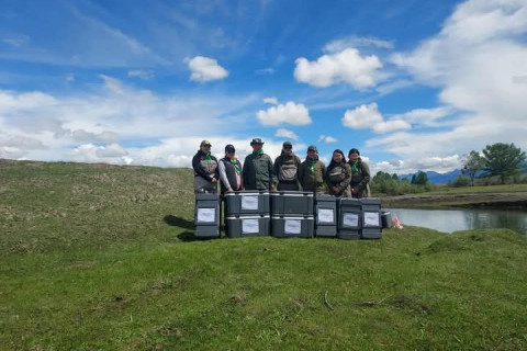 Рэнчинлхүмбэ сумын Тэнгис Шишгэдийн бэлчирт 115 мянган тул загасны, 60 мянган зэвэг, хадран загасны жараахайг нутагшуулжээ