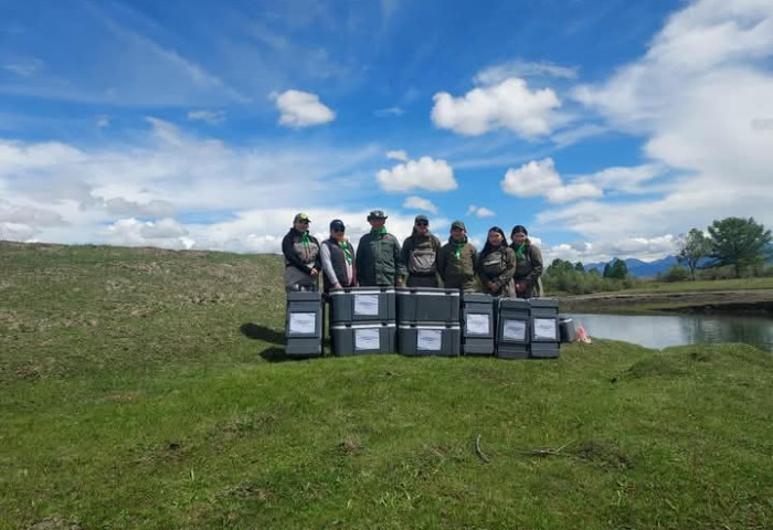 Рэнчинлхүмбэ сумын Тэнгис Шишгэдийн бэлчирт 115 мянган тул загасны, 60 мянган зэвэг, хадран загасны жараахайг нутагшуулжээ